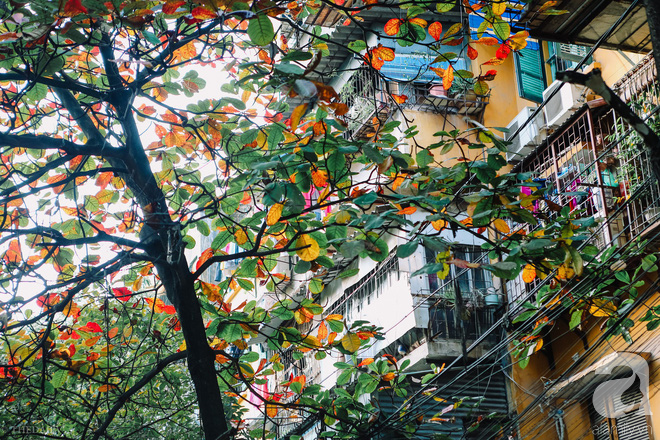 đông hà nội